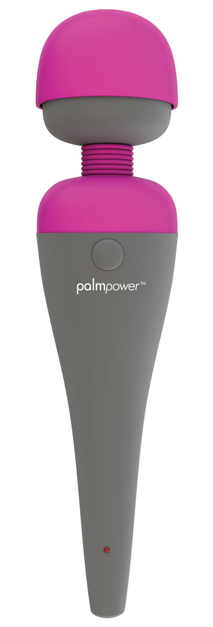 PalmPower Massage Wand