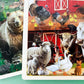 Wooden Animal Adventure Puzzles Set for Ages 3-8