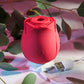 Adam & Eve EVES RAVISHING ROSE CLIT PLEASER