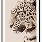 Tiger portrait leopard spots whiskers eyes black tan and neutral colours animal modern