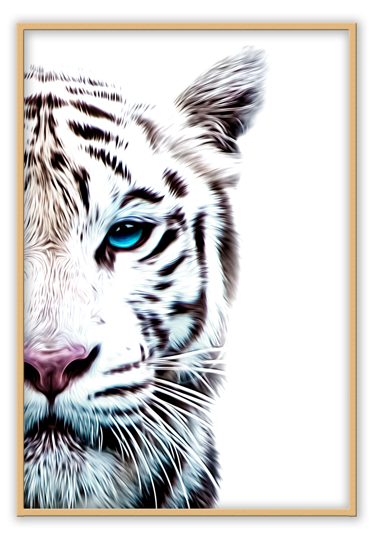 Half face of tiger photograph on white background blue eye furry pink nose