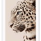 Tiger portrait leopard spots whiskers eyes black tan and neutral colours animal modern