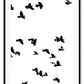 A black and white wall art with black sky birds in white sky. 