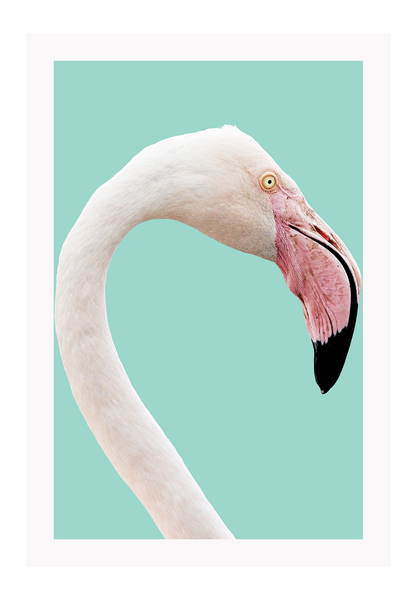 Animal print with profile of pink flamingo with white feathers on teal background