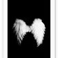 A fashion wall art with a pair of white swan wings on black background. 