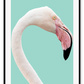 Animal print with profile of pink flamingo with white feathers on teal background