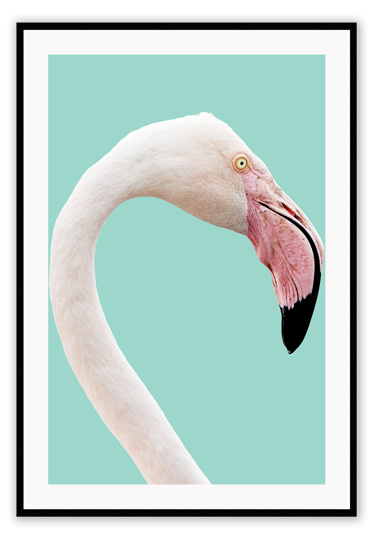 Animal print with profile of pink flamingo with white feathers on teal background