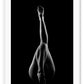 A black and white fashion wall art with dancing legs of a ballerina