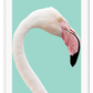 Animal print with profile of pink flamingo with white feathers on teal background