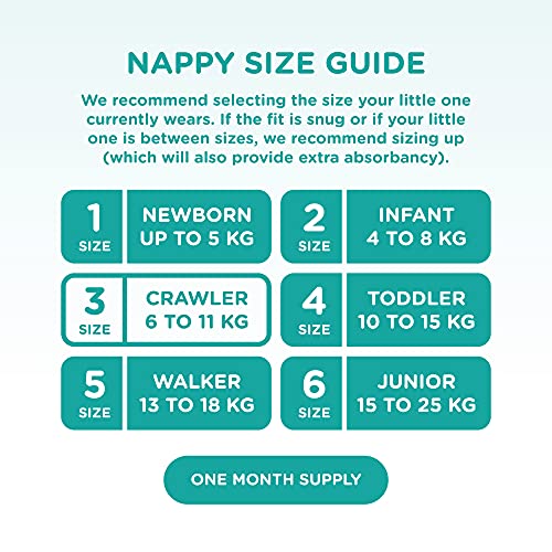 Hugs & Bubs, Size 3 Crawler nappies (6 -11kg), 168 nappies, One Month Supply