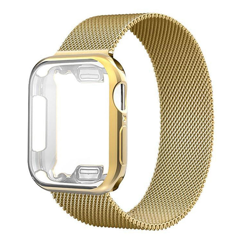 Felix Luxury Stainless Steel Band With Case